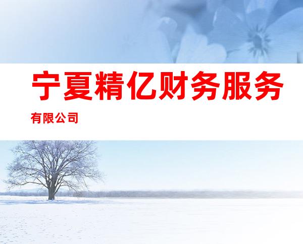 宁夏精亿财务服务有限公司